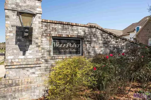 28050 Great Eagle Ave, Walker, LA 70785 photo 41