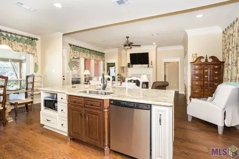 28050 Great Eagle Ave, Walker, LA 70785 photo 15