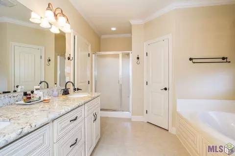 28050 Great Eagle Ave, Walker, LA 70785 photo 26