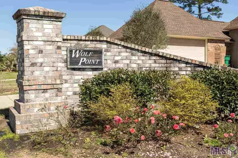28050 Great Eagle Ave, Walker, LA 70785 photo 2