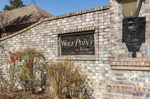 28050 Great Eagle Ave, Walker, LA 70785 photo 1