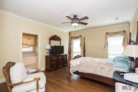 28050 Great Eagle Ave, Walker, LA 70785 photo 23