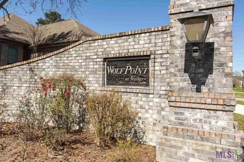 28050 Great Eagle Ave, Walker, LA 70785 photo 40