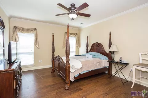 28050 Great Eagle Ave, Walker, LA 70785 photo 24