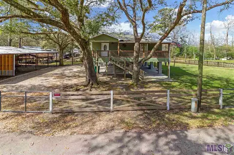 13175 Deer St, Maurepas, LA 70449 photo 19