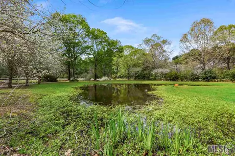 30908 N Corbin Rd, Walker, LA 70785 photo 22