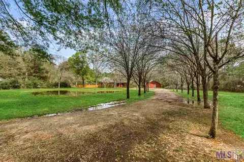 30908 N Corbin Rd, Walker, LA 70785 photo 23