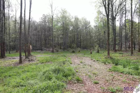 715 Nesom Rd, Pine Grove, LA 70706 photo 1
