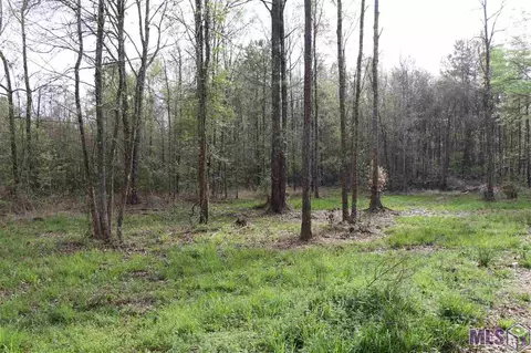 715 Nesom Rd, Pine Grove, LA 70706 photo 2