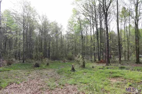 715 Nesom Rd, Pine Grove, LA 70706 photo 3