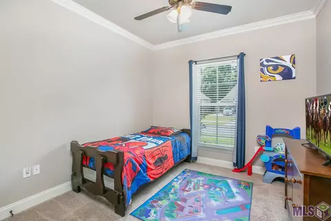 13297 Williamsburg Dr, Walker, LA 70785 photo 20