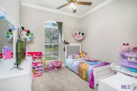 13297 Williamsburg Dr, Walker, LA 70785 photo 21