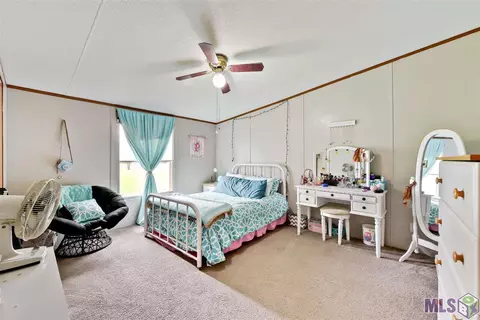 23550 Riley Rd, Pride, LA 70770 photo 10