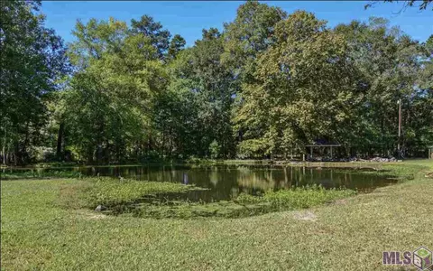 30149 Stadium Dr, Walker, LA 70785 photo 5