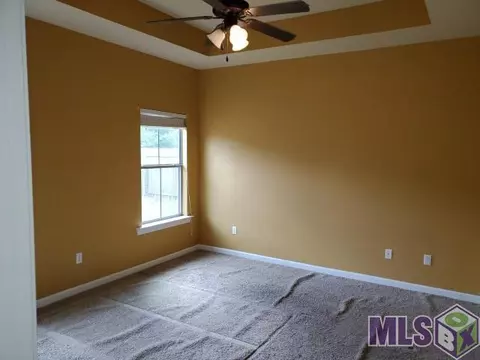 30240 Daffodil Dr, Walker, LA 70785 photo 8
