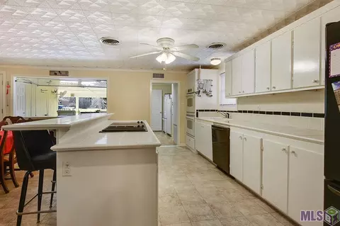 17599 Cline Dr, Maurepas, LA 70449 photo 8