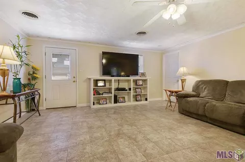 17599 Cline Dr, Maurepas, LA 70449 photo 4