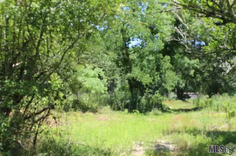 6325 Rolling Acres Dr, Baker, LA 70714 photo 6