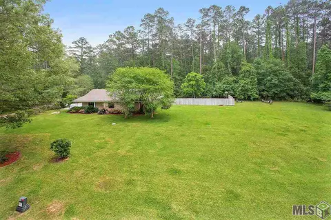 31305 River Pines Dr, Springfield, LA 70462 photo 1