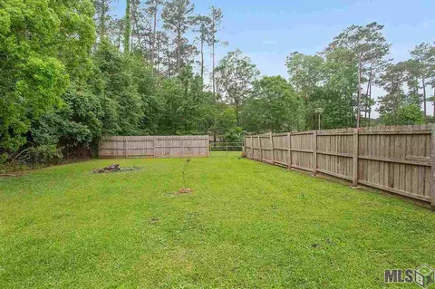 31305 River Pines Dr, Springfield, LA 70462 photo 10