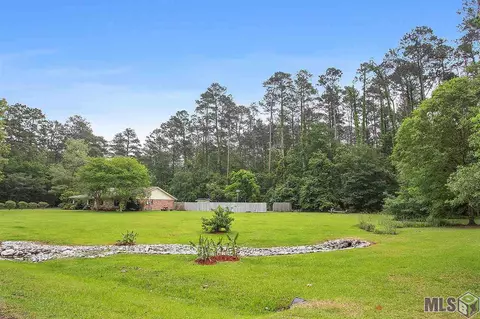 31305 River Pines Dr, Springfield, LA 70462 photo 13