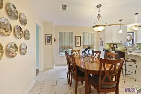 31305 River Pines Dr, Springfield, LA 70462 photo 9