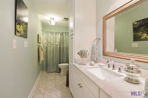 31305 River Pines Dr, Springfield, LA 70462 photo 19
