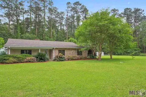 31305 River Pines Dr, Springfield, LA 70462 photo 8