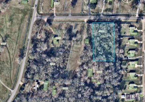 10320 Gurney Rd, Central, LA 70714 photo 1