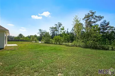 12700 Jaden Dr, Walker, LA 70785 photo 22
