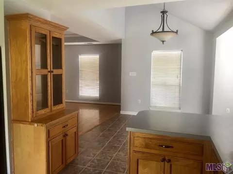 13567 Prairie Ln, Walker, LA 70785 photo 3