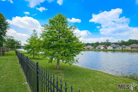 34231 Spring Lake Dr, Walker, LA 70785 photo 23