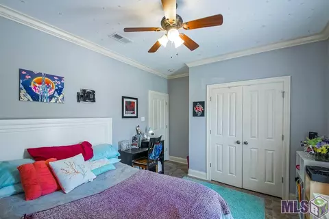 34231 Spring Lake Dr, Walker, LA 70785 photo 19