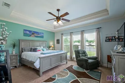 34231 Spring Lake Dr, Walker, LA 70785 photo 12