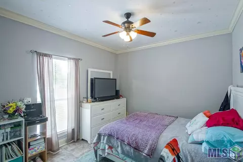 34231 Spring Lake Dr, Walker, LA 70785 photo 18