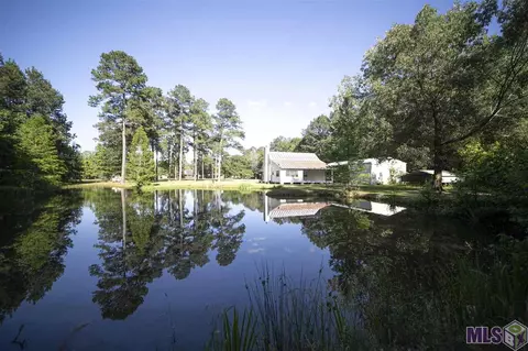 33613 Nancy Dr, Walker, LA 70785 photo 24
