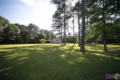 33613 Nancy Dr, Walker, LA 70785 photo 3