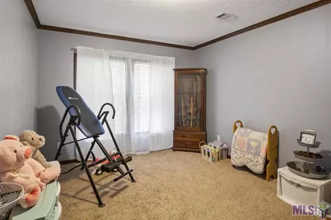 101 Conrad Hebert Rd, Amite, LA 70422 photo 23