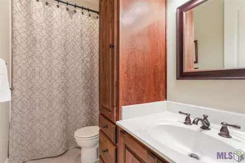 30664 Wild Iris Way, Springfield, LA 70462 photo 20