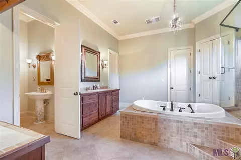 30664 Wild Iris Way, Springfield, LA 70462 photo 17
