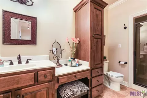 30664 Wild Iris Way, Springfield, LA 70462 photo 24