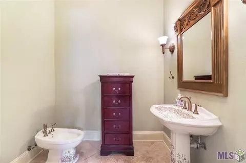 30664 Wild Iris Way, Springfield, LA 70462 photo 18
