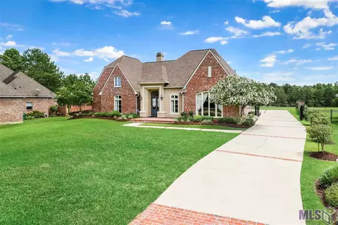 30664 Wild Iris Way, Springfield, LA 70462 photo 2