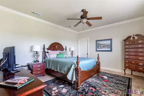 30664 Wild Iris Way, Springfield, LA 70462 photo 22