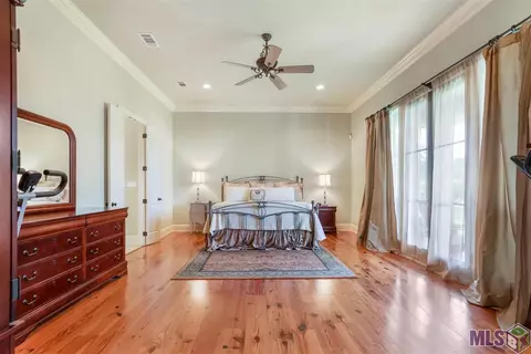 30664 Wild Iris Way, Springfield, LA 70462 photo 14
