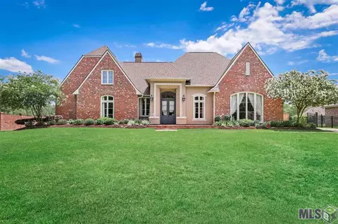 30664 Wild Iris Way, Springfield, LA 70462 photo 1