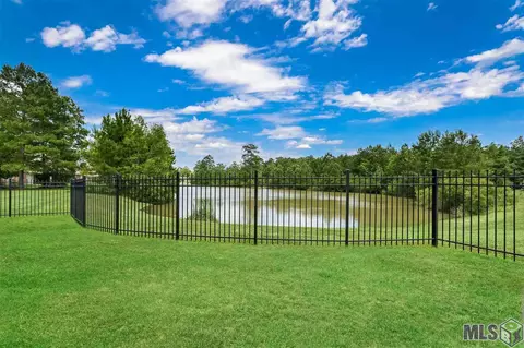 30664 Wild Iris Way, Springfield, LA 70462 photo 28