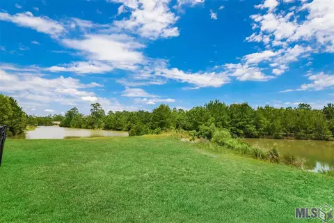 30664 Wild Iris Way, Springfield, LA 70462 photo 27