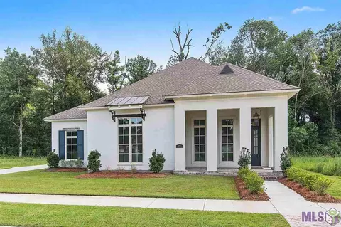 12971 Baldachin Ave, Central, LA 70818 photo 1