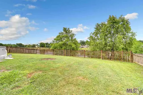 31030 Lake Spring Dr, Walker, LA 70785 photo 16